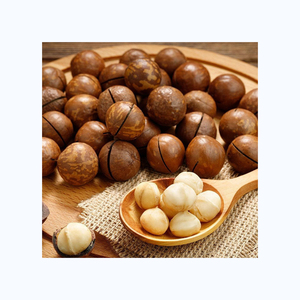 Nueces de Macadamia orgánicas de buena calidad a precio de mayorista a granel - Product Image 5