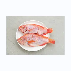Свежая замороженная красная Тилапия Рыба Красный окунь Тилапия Рыба для тилапии красная рыба для покупателей свежая замороженная красная Тилапия Рыба Красный окунь тила