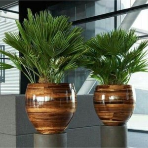 Trong nhà và ngoài trời lớn sợi thủy tinh trồng, vườn lớn Chậu trồng hoa, chậu cây cho cây nhân tạo - Product Image 4