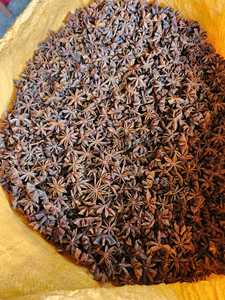 ANISEED ESTRELLA CRUDA seca VIETNAMESA Precio al por mayor de calidad superior (Ms Quincy WA 84858080598) - Product Image 6