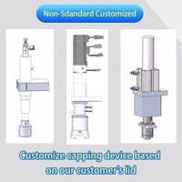 Máquina de Llenado y Tapado para Fábrica de Botellas, Equipo de Línea de Empaquetado, Etiquetado y Tapado de Sobremesa Personalizado por el Fabricante