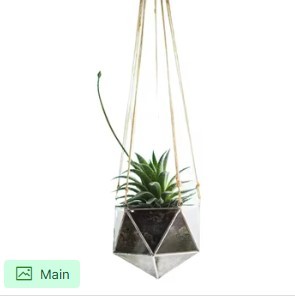 Moderno Soporte Geométrico para Macetas de Pared con 3 Soportes de Alambre Metálico para una Decoración Interior Elegante y Exhibición Vertical de Plantas - Product Image 5