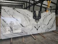 Dalle de marbre blanc Panda de luxe pour comptoir de cuisine moderne, panneau mural de salle de bain, carrelage de sol, lavabo, décoration intérieure de villa