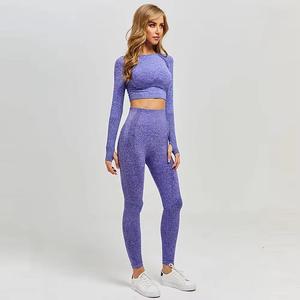 Venta al por mayor Running Workout Active Wear Fitness Compression 2 piezas Yoga Set Nuevo diseño Ropa deportiva de mujer para gimnasio - Product Image 1