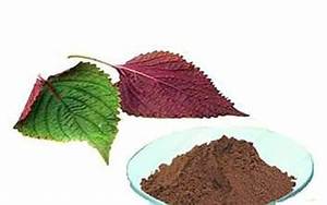 SUPLEMENTO DE HOJA DE PERILLA EN POLVO 100 POR CIENTO SUPLEMENTO DE HIERBAS A BASE DE PLANTAS NATURALES PARA EL APOYO INMUNE DIARIO - Product Image 2