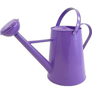 Arrosoir en métal de vente chaude pour les plantes d'extérieur et d'intérieur arrosoir de jardinage galvanisé avec poignées en acier inoxydable - Product Image 5