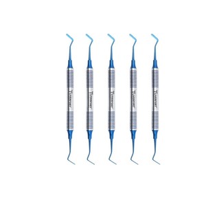 Juego de 7 Instrumentos Dentales para Rellenos de Amalgama y Composite en Casete (7 Piezas Recubiertas de Plasma Dorado) para Limpieza y Rellenado - Product Image 3