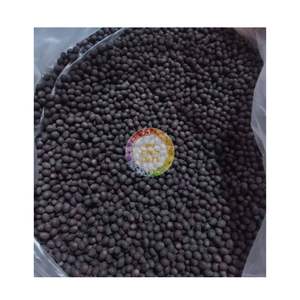 Graines de lotus noires en gros, graines de lotus noires séchées de qualité supérieure avec/sans peau au Vietnam - Product Image 4