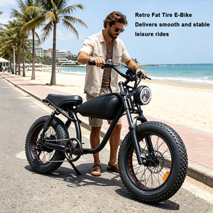 Bicicletta Elettrica Retrò da <span class=keywords><strong>20</strong></span> Pollici 250W-750W per Distributori all'Ingrosso e Importatori Professionali - Product Image 1