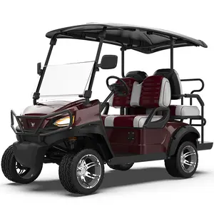 4 ruedas 2 + 2 asientos Buggy carrito de Golf batería de litio vehículo electrónico pequeño carrito de Golf eléctrico