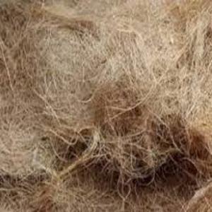 Fibra de coco natural de alta calidad para colchones, cepillos, cuerdas, esteras para cultivo, fibra de coco para mantillo, venta al por mayor de La India - Product Image 2