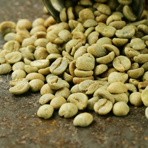 Grains de café crus Robusta, café vert taille 16, produit d'exportation avec emballage OEM et support de marque privée - Product Image 6