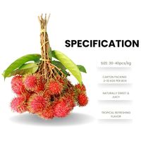 Premium Vers Rambutan Fruit Voor Export En Groothandel