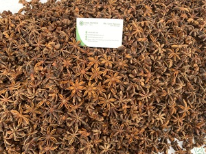 Anís estrellado de alta calidad de Vietnam, la mejor oferta, envío rápido, estilo mezclado procesado seco, precio competitivo - Product Image 4