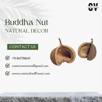Bunga Kering Kosmik Alami, Biji Buddha Klasik Elegan Rustic Berkualitas Tinggi, Seperti Asli, Ramah Lingkungan, Dekorasi Pernikahan