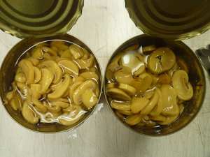 MUSHROM DE PAJA EN CONSERVAS 100% MUSHROM FRESCA PROVEEDOR DE VIETNAM CON PRECIO BARATO - Product Image 3