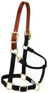 Halters rembourrés en cuir noir - Product Image 3