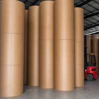 Rouleau de papier thermique jumbo de 1620 mm de large, haute capacité de production, pour conversion de reçus, 48, 55, 65, 80 g/m², mandrin personnalisé