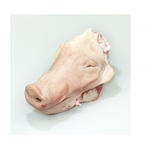 Proveedor de Alemania con Precio Económico de Cabezas de Cerdo Congeladas Enteras (cabezas enteras con orejas y lengua) a Precio de Mayoreo - Product Image 6