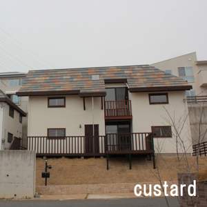 Pigmento para Construcción al por Mayor, Materiales Sostenibles para la Construcción, Tradicional para Revestimiento de Yeso - Product Image 3