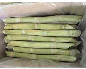 IQF อ้อยแช่แข็งรสหวานธรรมชาติ - Product Image 2