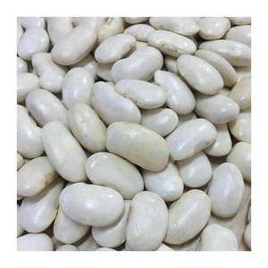 Para la venta Frijoles blancos naturales Frijoles de azúcar blanco Nueva cosecha Frijoles de riñón blancos a precio barato - Product Image 2