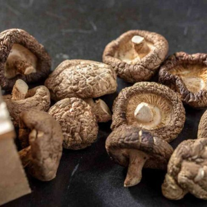 CHAMPIGNONS SHIITAKE SÉCHÉS DU VIETNAM/SÉCHÉS AU SOLEIL/APPROVISIONNEMENT EN VRAC/CHOIX D'INGRÉDIENTS SAINS - Product Image 4