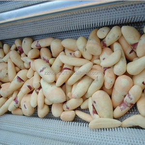 Équipement d'aloès de lavage industriel/machine de nettoyage d'aloès/machine à laver de brosse d'aloe vera - Product Image 3