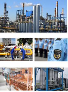 Guosenf R10 Tragbarer 2-in-1-Wärmebildkamera TDLAS Remote Laser Gas detektor ABS Kunststoff 1 Jahr Garantie - Product Image 3