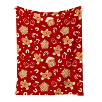Couverture d'urgence hivernale en microfibre AC, taille personnalisable, argentée, respirante, pour temps froid, motif uni, économique et durable