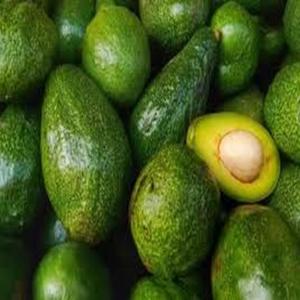 Palette d'avocat Hass organique fraîchement cultivée en variété disponible à la vente à des prix abordables - Product Image 1