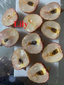 Approvisionnement en vrac et marque privée de litchi congelé du Vietnam/Lily - Product Image 3