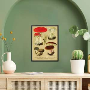 Vintage Educational Fly Agaric Art Print Paper <b>Poster</b> for Wall Decor with Black <b>Frame</b> - Product Image 3