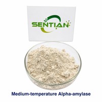 Food Grade Medium Temperature Alpha Amylase Powder CAS 9000-90-2 Starch Saccharification Enzyme for Brewing