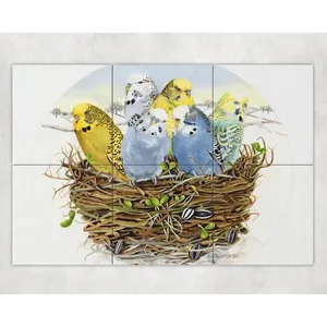 Periquitos exóticos en nido Jardín al aire libre Azulejo de cerámica Mural Backsplash Arte decorativo de pared - Product Image 1