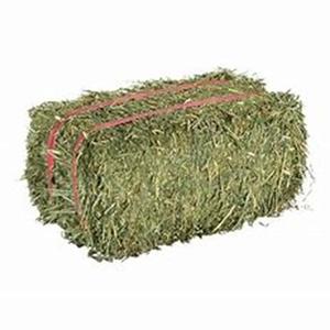 Proveedor de Heno de Alfalfa Seco de Primera Calidad para Exportación, con 2 Años de Vida Útil, para Alimentación de Caballos y Ganado, a Nivel Mundial - Product Image 4