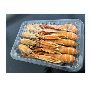 กุ้งล็อบสเตอร์แช่แข็ง - ขายส่งกุ้งล็อบสเตอร์จำนวนมาก - Product Image 2