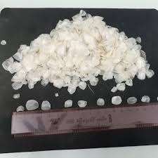 Fournisseur de écailles de poisson séchées du delta du Vietnam |   Approvisionnement en gros d'usine - Product Image 5