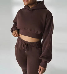 High Quality Embroidered Mesh Cropped Crop Top Hoodie Sweatpants <b>Women's</b> Two Piece Tracksuit Set 100% Cotton Streetwear OEM ODM - Product Image 4