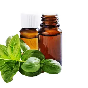 Buy Bulk Essential Oil at Wholesale price HOLY BASIL ESSENTIAL OIL from India largest manufacture NATURES NATURAL INDIA