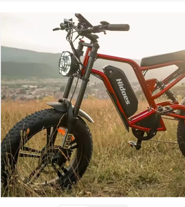 Nuevas Bicicletas Eléctricas B.6 Electrics de 48v 1200w EMTB con Motores de Cubo Trasero - Product Image 1