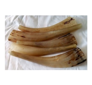 เครื่องดนตรีทางศาสนาแบบดั้งเดิมโชซาร์ฮอร์น - Product Image 1