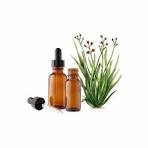 Puro e Natural Palmarosa Óleo Essencial Exportador a Granel Atacado Melhor Óleo para a Pele Fornecedor de Óleo Natural Na Índia
