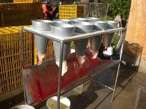 Cône de mise à mort de poulet galvanisé - Product Image 6