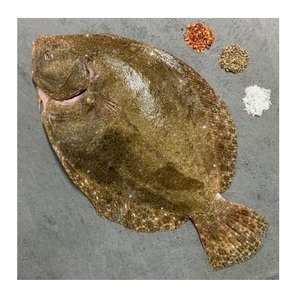 Pescado Turbot Entero Congelado a Granel a Precio Económico, Venta al Por Mayor con Entrega Rápida - Product Image 3