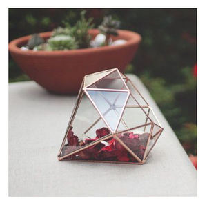 Cadre en fer de terrarium en verre de conception diamantée de meilleure qualité supérieure avec finition et taille personnalisées pour les décorations de table - Product Image 1