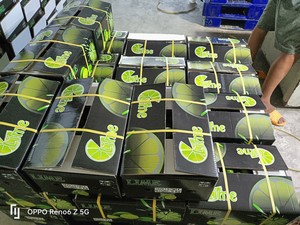 Grosir limau tanpa biji hijau buah jeruk organik segar dari rasa Vietnam Lemon manis untuk dijual berbagai Hoang Kim Lemon