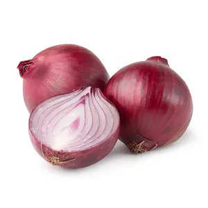 Best Quality Wholesale cheap Price Fresh Red Onion suppliers on red onion 1 ton price