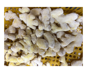 ขิงแช่แข็งคุณภาพสูงจากเวียดนาม สำหรับสั่งซื้อจำนวนมาก - แผ่นขิงรสเข้มข้นสำหรับโรงงานเครื่องดื่มและผสมชา - Product Image 4