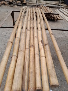 Poteaux de bambou Offres Spéciales cannes piquets bâtons soutien agricole jardinage décor poteaux de bambou pour l'artisanat du Vietnam - Product Image 5